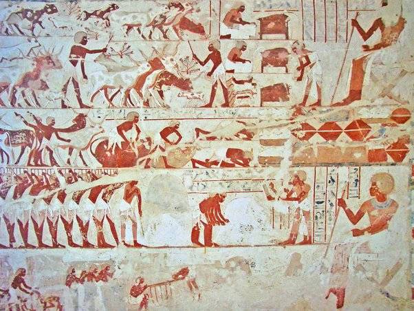 The Ancient Origins of Livestock Branding: A 4,800-Year History