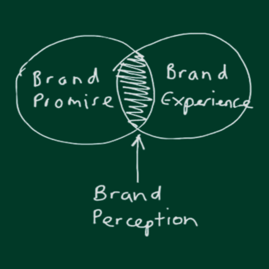 How Brands Shape Perception: Why Actions and Public Dialogue Define Identity